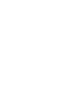 logo main